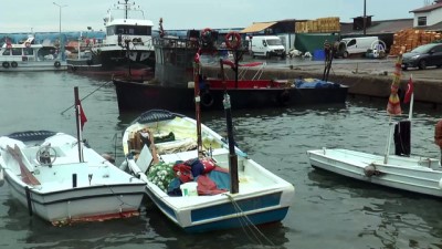 girgir - Balıkçının yüzünü palamut güldürdü - DÜZCE  Videosu