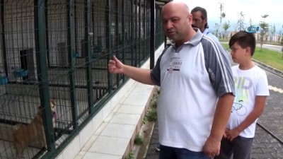 karantina -  Bursa'da iki çocuğu ısıran köpek yakalandı, karantinaya alındı Videosu
