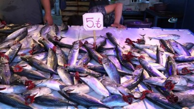 balik tezgahlari -  Havaların sıcak olması palamut satışını etkiliyor  Videosu