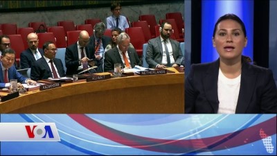 insani yardim - BM Güvenlik Konseyi İdlib Harekatı Konusunda Kaygılı Videosu