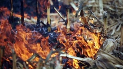 aniz yangini - Çukurova anız yangınından kurtuluyor - ADANA  Videosu