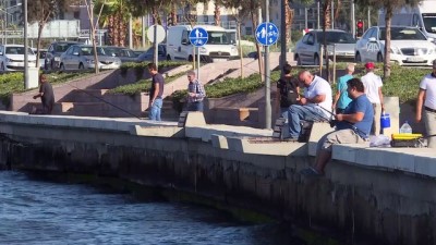 korfez - 'Güzel İzmir'de böyle koku istemiyoruz' - İZMİR  Videosu