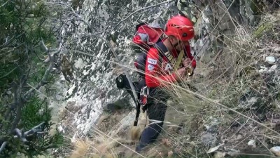 hayvancilik - Kayalıklarda mahsur kalan keçi kurtarıldı - DENİZLİ  Videosu