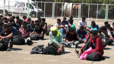 nani - Muğla'da 73 düzensiz göçmen yakalandı Videosu