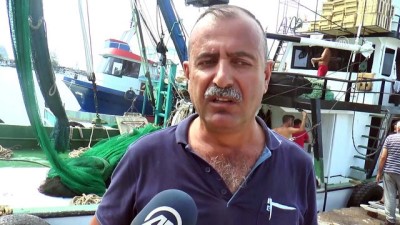 girgir - Batı Karadeniz'de balık bolluğu - DÜZCE Videosu