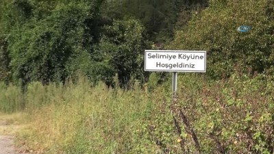 karantina -  Kocaeli’de şarbon paniği: 3 köy karantinaya alındı  Videosu