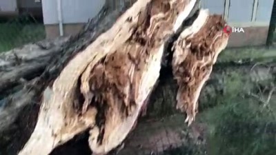  Akyazı’da fırtına ağaçları devirdi, çatıları uçurdu 