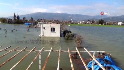 Amik Ovası'nda evler sular altında
