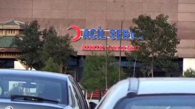 Başıboş köpeklerin saldırdığı çocuk yaralandı - MARDİN