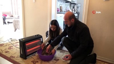  Donmak üzere olan yaralı şahine vatandaş sahip çıktı 