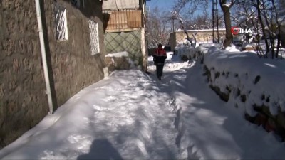  Köpek saldırısının yaşandığı ilçede köpekleri toplama çalışmaları sürüyor 