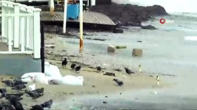 kum torbasi -  Şiddetli fırtına Bodrum'u esir aldı Videosu