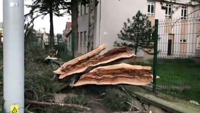 Şiddetli rüzgardan depo çatısı uçtu, 2 kişi yaralandı - SAKARYA 