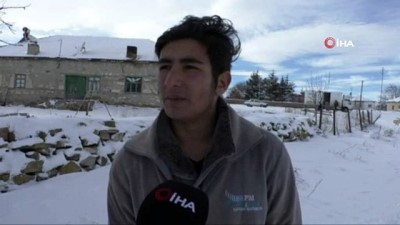 Yaşlı kadının köpek saldırısına uğramasının ardından köylü başıboş köpeklerin sahiplenilmesini istiyor 