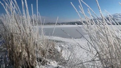 Yurtta kış - Göl ve şelaleler ile Kızılırmak'ın bazı bölümleri buz tuttu - SİVAS 