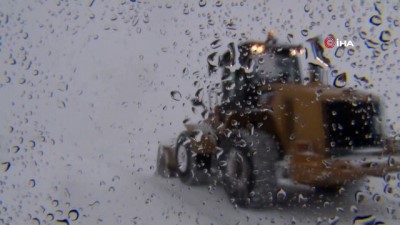  Av tüfeğiyle vurulan köpek için seferber oldular 