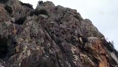 Burdur'da kayalıklarda mahsur kalan gebe keçi kurtarıldı