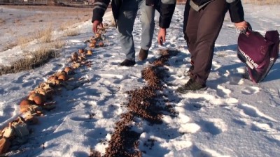 Çöpe atılacak yiyecekler yaban hayatı için doğaya bırakılıyor - AĞRI 