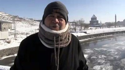 Hava sıcaklığının sıfırın altında 28 dereceye düştüğü Kars'ta ağaçlar buz tuttu 