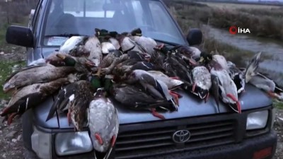 kacak avci -  ‘Kuş Cenneti’nde ördek katliamına 22 bin 595 lira ceza Videosu