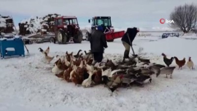  Sultan Sazlığı'nda zorlu kış ve yaşam havadan görüntülendi 