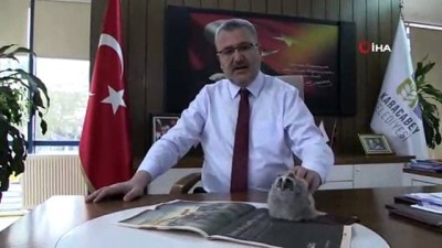 donma tehlikesi -  Yavru baykuş belediye başkanının maskotu oldu  Videosu