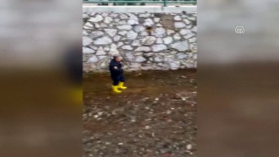 Derede mahsur kalan kediyi itfaiye kurtardı - MUĞLA