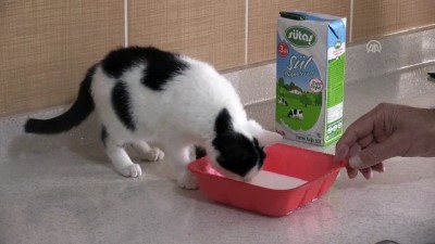 'İyiliği' takip etti, sıcak yuvaya kavuştu - ADIYAMAN 