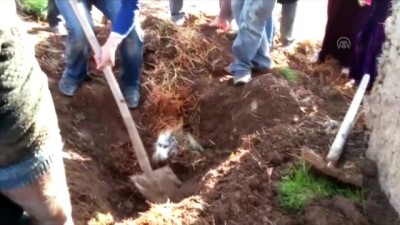 Şanlıurfa'da çöken ahırdaki 8 küçükbaş hayvan telef oldu