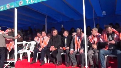 71. Deve Güreşi Festivali - AYDIN