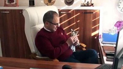 'Bıcırık'a kaymakam sahip çıktı - TOKAT 