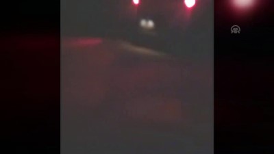 Bodrum'da domuz saldırısına uğrayan 2 kişi yaralandı - MUĞLA