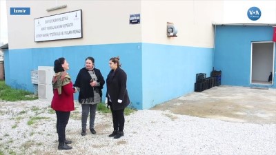 kooperatif - Karanlık Odada Aydınlık Gelecek  Videosu