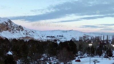 Kargalardan görsel şölen - SİVAS 