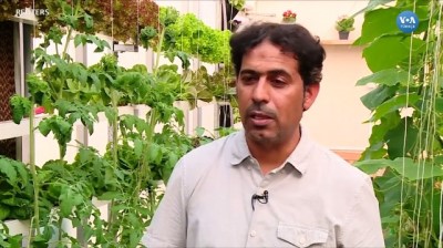 Suudi Arabistan Tarımda Reformu Amaçlıyor 