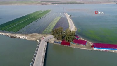 tarim arazisi -  Çukurova 'gölova' oldu... Sular altında kalan bölge havadan görüntülendi  Videosu