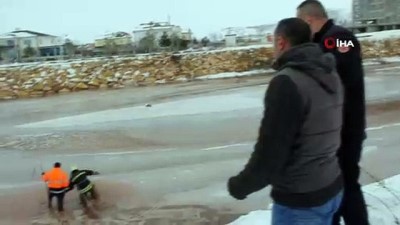buz kutlesi -  Ekipler seferber oldu, donmakta olan köpek son anda kurtarıldı  Videosu
