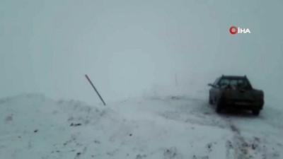  Elmadağı'nın doruğundaki 60 köpeğe hayvanseverler ulaşılamıyor