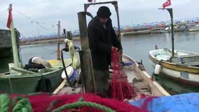 Hamsinin yerini istavrit aldı - DÜZCE