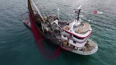  Karadeniz'de torik bereketi 