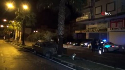 palmiye agaci -  Palmiye ağacına saplanan otomobil güvenlik kamerasında  Videosu