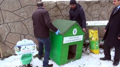 benin - Yozgat'ta sokak hayvanlarına kulübe - YOZGAT  Videosu