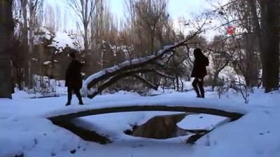  Muradiye Şelalesi dondu