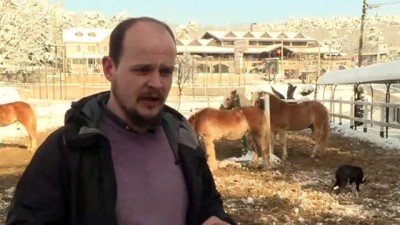 eziler - Uludağ'ın karlı eteklerinde atla gezinti turizmi - BURSA  Videosu