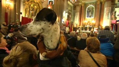 evcil hayvan - Evcil hayvanlar kilisede düzenlenen törenle kutsandı Videosu