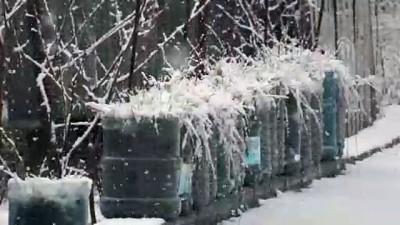 Irak'ta kar yağışı - SÜLEYMANİYE