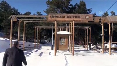 uttu - Küçükelmalı Tabiat Parkı'ndaki göletin yüzeyi buz tuttu - BİLECİK Videosu