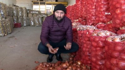 pazarci -  Küf hastalığı soğan fiyatlarını yükseltti  Videosu