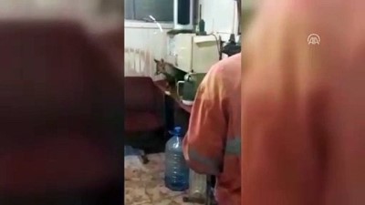 davetsiz misafir - Atölyeye giren tilkinin karnını doyurdular - SİVAS  Videosu