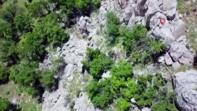  Gri kategorideki terörist yakalandı 